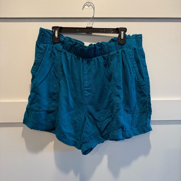 Terra & Sky Pants - Terra & Sky 1X Teal Cargo Shorts